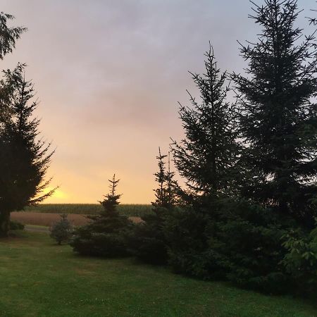 Hygge House Villa Zator Bagian luar foto